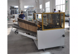 Automatic Case Packer / Case Erector / Carton box Packing machine with factory 